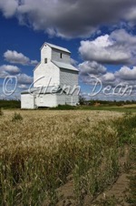 Bents area farm
September 2004